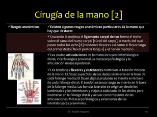 Injertos y colgajos 15Dr. Rickart Peguero