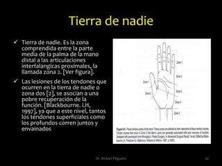 Injertos y colgajos [3]Dr. Rickart Peguero16