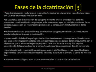 Generalidades Es un conjunto de fenómenos predecibles, que se verifican en tres [3] fases superpuestas, bien definidas, aunque simultaneas, muchas veces, en el cual se verifica un trabajo celular y otro enteramente químico, que se define como el proceso de reparación, o más bien de regeneración, de un tejido alterado o injuriado, que tiene como resultado final la formación de otro tejido semejante al anterior a la injuria, denominado tejido cicatricial o cicatriz. 3Dr. Rickart Peguero