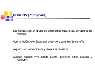 HONGOS ( Eumycota ) ,[object Object],[object Object],[object Object],[object Object]