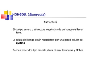 HONGOS .  ( Eumycota )   Estructura El cuerpo entero o estructura vegetativa de un hongo se llama  talo . La célula del hongo están recubiertas por una pared celular de  quitina  Pueden tener dos tipo de estructura básica: levaduras y Mohos 