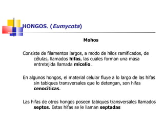 HONGOS .  ( Eumycota ) Mohos Consiste de   filamentos largos, a modo de hilos ramificados, de células, llamados  hifas , las cuales forman una masa entretejida llamada  micelio . En algunos hongos, el material celular fluye a lo largo de las hifas sin tabiques transversales que lo detengan, son hifas  cenocíticas . Las hifas de otros hongos poseen tabiques transversales llamados  septos . Estas hifas se le llaman  septadas  