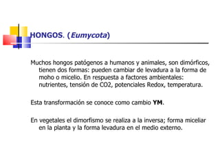 HONGOS .  ( Eumycota ) Muchos hongos patógenos a humanos y animales, son dimórficos, tienen dos formas: pueden cambiar de levadura a la forma de moho o micelio. En respuesta a factores ambientales: nutrientes, tensión de CO2, potenciales Redox, temperatura. Esta transformación se conoce como cambio  YM . En vegetales el dimorfismo se realiza a la inversa; forma miceliar en la planta y la forma levadura en el medio externo.  