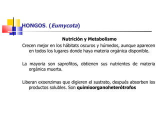 HONGOS .  ( Eumycota ) Nutrición y Metabolismo Crecen mejor en los hábitats oscuros y húmedos, aunque aparecen en todos los lugares donde haya materia orgánica disponible. La mayoria son saprofitos, obtienen sus nutrientes de materia orgánica muerta. Liberan exoenzimas que digieren el sustrato, después absorben los productos solubles. Son  quimioorganoheterótrofos 