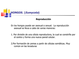 HONGOS .  ( Eumycota ) Reproducción   En los hongos puede ser asexual o sexual.  La reproducción asexual se lleva a cabo de varias maneras: 1. Por división de una célula reproductora, la cual se constriñe por el centro y forma una nueva pared celular. 2.Por formación de yemas a partir de células somáticas. Muy común en las levaduras 