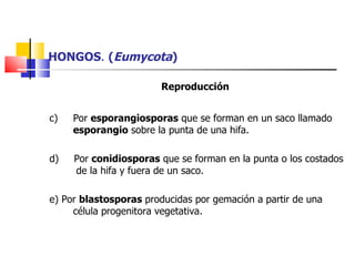 HONGOS .  ( Eumycota ) Reproducción   c)  Por  esporangiosporas  que se forman en un saco llamado  esporangio  sobre la punta de una hifa. d)  Por  conidiosporas  que se forman en la punta o los costados  de la hifa y fuera de un saco. e) Por  blastosporas  producidas por gemación a partir de una célula progenitora vegetativa. 