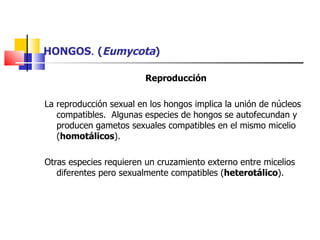 HONGOS .  ( Eumycota ) Reproducción   La reproducción sexual en los hongos implica la unión de núcleos compatibles.  Algunas especies de hongos se autofecundan y producen gametos sexuales compatibles en el mismo micelio ( homotálicos ). Otras especies requieren un cruzamiento externo entre micelios diferentes pero sexualmente compatibles ( heterotálico ). 
