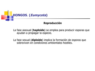 HONGOS .  ( Eumycota ) Reproducción La fase asexual ( haploide ) se emplea para producir esporas que ayudan a propagar la especie.  La fase sexual ( diploide ) implica la formación de esporas que sobreviven en condiciones ambientales hostiles. 