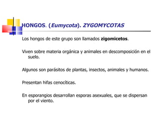 HONGOS .  ( Eumycota ).  ZYGOMYCOTAS Los hongos de este grupo son llamados  zigomicetos . Viven sobre materia orgánica y animales en descomposición en el suelo. Algunos son parásitos de plantas, insectos, animales y humanos. Presentan hifas cenocíticas. En esporangios desarrollan esporas asexuales, que se dispersan por el viento. 