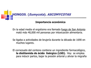 HONGOS .  ( Eumycota ).  ASCOMYCOTAS Importancia económica En la edad media el ergotismo era llamado  fuego de San Antonio  mató más 40,000 mil personas por intoxicación alimentaria. Se ligaba a actividades de brujería durante la década de 1690 en muchos lugares. El cornezuelo del centeno contiene un ingrediente farmacológico,  la dietilamida de ácido  lisérgico (LSD).  Hoy  se emplea para inducir partos, bajar la presión arterial y aliviar la migraña 
