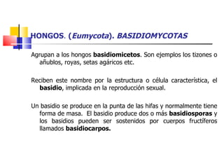 HONGOS .  ( Eumycota ).  BASIDIOMYCOTAS Agrupan a los hongos  basidiomicetos . Son ejemplos los tizones o añublos, royas, setas agáricos etc. Reciben este nombre por la estructura o célula característica, el  basidio , implicada en la reproducción sexual. Un basidio se produce en la punta de las hifas y normalmente tiene forma de masa.  El basidio produce dos o más  basidiosporas  y los basidios pueden ser sostenidos por cuerpos fructíferos llamados  basidiocarpos. 