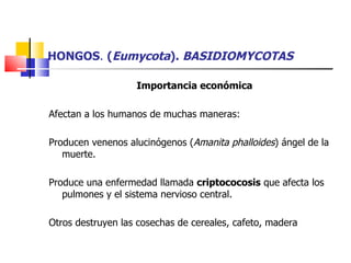 HONGOS .  ( Eumycota ).  BASIDIOMYCOTAS Importancia económica Afectan a los humanos de muchas maneras: Producen venenos alucinógenos ( Amanita phalloides ) ángel de la muerte. Produce una enfermedad llamada  criptococosis  que afecta los pulmones y el sistema nervioso central. Otros destruyen las cosechas de cereales, cafeto, madera  