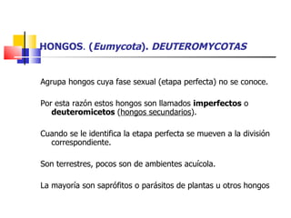 HONGOS .  ( Eumycota ).  DEUTEROMYCOTAS Agrupa hongos cuya fase sexual (etapa perfecta) no se conoce. Por esta razón estos hongos son llamados  imperfectos  o  deuteromicetos  ( hongos secundarios ).  Cuando se le identifica la etapa perfecta se mueven a la división correspondiente. Son terrestres, pocos son de ambientes acuícola.  La mayoría son saprófitos o parásitos de plantas u otros hongos  