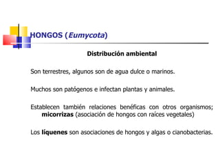 HONGOS ( Eumycota ) Distribución ambiental Son terrestres, algunos son de agua dulce o marinos. Muchos son patógenos e infectan plantas y animales. Establecen también relaciones benéficas con otros organismos;  micorrizas  (asociación de hongos con raíces vegetales) Los  líquenes  son asociaciones de hongos y algas o cianobacterias. 