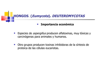 HONGOS .  ( Eumycota ).  DEUTEROMYCOTAS Importancia económica Especies de  aspergillus  producen aflatoxinas, muy tóxicas y carcinógenas para animales y humanos. Otro grupos producen toxinas inhibidoras de la síntesis de proteica de las células eucariotas. 