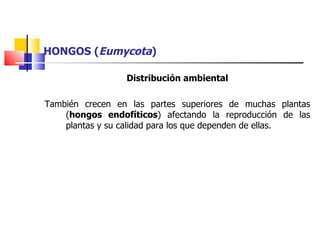 HONGOS ( Eumycota ) Distribución ambiental También crecen en las partes superiores de muchas plantas ( hongos endofíticos ) afectando la reproducción de las plantas y su calidad para los que dependen de ellas.  