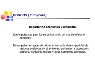 HONGOS ( Eumycota ) Importancia económica y ambiental Son importantes para los seres humanos por sus beneficios o perjuicios. Desempeñan un papel de primer orden en la descomposición de residuos orgánicos en el ambiente, poniendo  a disposición: carbono, nitrógeno, fósforo y otros nutrientes esenciales. 