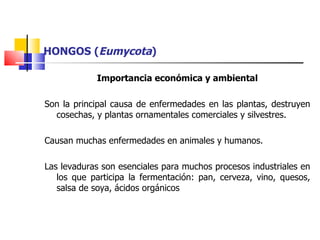 HONGOS ( Eumycota ) Importancia económica y ambiental Son la principal causa de enfermedades en las plantas, destruyen cosechas, y plantas ornamentales comerciales y silvestres. Causan   muchas  enfermedades en  animales  y  humanos . Las levaduras son esenciales para muchos procesos industriales en los que participa la fermentación: pan, cerveza, vino, quesos, salsa de soya, ácidos orgánicos 