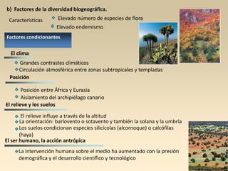 b) Factores de la diversidad biogeográfica.

Características

Elevado número de especies de flora
Elevado endemismo

Factores condicionantes

El clima
Grandes contrastes climáticos
Circulación atmosférica entre zonas subtropicales y templadas
Posición
Posición entre África y Eurasia
Aislamiento del archipiélago canario
El relieve y los suelos

El relieve influye a través de la altitud
La orientación: barlovento o sotavento y también la solana y la umbría
Los suelos condicionan especies silicícolas (alcornoque) o calcófilas
(haya)
El ser humano, la acción antrópica
La intervención humana sobre el medio ha aumentado con la presión
demográfica y el desarrollo científico y tecnológico

 