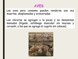 AVES
Las aves para consumo pueden venderse una vez
muertas, desplumadas y evisceradas.
Las vísceras se agregan a la pieza y se denominan
menudos (hígado, estómago muscular sin mucosa y
corazón, a las que se agrega el cogote sin cabeza).
 