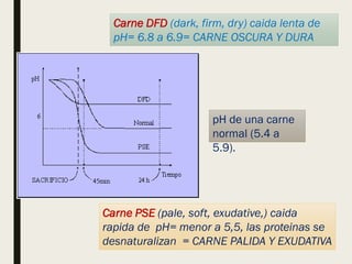 Carne PSE (pale, soft, exudative,) caida
rapida de pH= menor a 5,5, las proteinas se
desnaturalizan = CARNE PALIDA Y EXUDATIVA
Carne DFD (dark, firm, dry) caida lenta de
pH= 6.8 a 6.9= CARNE OSCURA Y DURA
pH de una carne
normal (5.4 a
5.9).
 