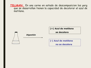 TILLMAN: En una carne en estado de descomposicion los μorg
que se desarrollan tienen la capacidad de decolorar el azul de
metileno.
Digestión
(+) Azul de metileno
se decolora
(-) Azul de metileno
no se decolora
 