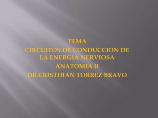 TEMA
CIRCUITOS DE CONDUCCION DE
LA ENERGIA NERVIOSA
ANATOMIA II
DR.CRISTHIAN TORREZ BRAVO
 