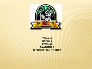 TEMA VI
MEDULA
ESPINAL
ANATOMIA II
DR.CRISTHIAN TORREZ
 