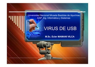 Universidad Nacional Micaela Bastidas de Apurímac
         EAP. Ing. Informática y Sistemas



               VIRUS DE USB
                M.Sc. Ecler MAMANI VILCA
 