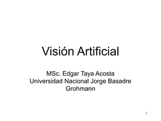Visión Artificial
MSc. Edgar Taya Acosta
Universidad Nacional Jorge Basadre
Grohmann
1
 