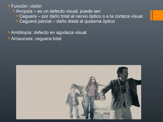  Función: visión
 Anopsia – es un defecto visual, puede ser:
 Ceguera – por daño total al nervio óptico o a la corteza visual.
 Ceguera parcial – daño distal al quiasma óptico
 Ambliopía: defecto en agudeza visual
 Amaurosis: ceguera total
 