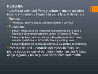 RESUMEN
Las fibras salen del Pons y entran al meato acústico
interno y foramen y llegan a la parte lateral de la cara.
Ramas:
 Temporal, zigomática, bucal, mandibular y cervical
Funciones:
 Llevan impulsos a los músculos esqueléticos de la cara e
impulsos de propioreceptores de los músculos al Pons.
 Lleva impulsos parasimpáticos a las glándulas lacrimales,
nasales, palatinas, submandibulares y sublinguales.
 Lleva impulsos de yemas gustativas a 2/3 partes de la lengua.
Parálisis de Bell – parálisis del músculo facial, se
pierde sabor, se cae el parpado inferior, se vira la boca,
el ojo lagrima y no se puede cerrar completamente
 
