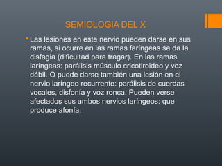 SEMIOLOGIA DEL X
Las lesiones en este nervio pueden darse en sus
ramas, si ocurre en las ramas faríngeas se da la
disfagia (dificultad para tragar). En las ramas
laríngeas: parálisis músculo cricotiroideo y voz
débil. O puede darse también una lesión en el
nervio laríngeo recurrente: parálisis de cuerdas
vocales, disfonía y voz ronca. Pueden verse
afectados sus ambos nervios laríngeos: que
produce afonía.
 