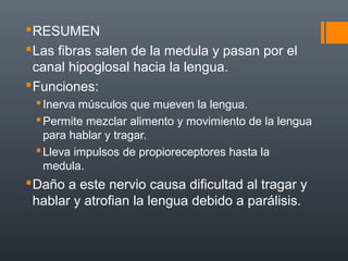 RESUMEN
Las fibras salen de la medula y pasan por el
canal hipoglosal hacia la lengua.
Funciones:
Inerva músculos que mueven la lengua.
Permite mezclar alimento y movimiento de la lengua
para hablar y tragar.
Lleva impulsos de propioreceptores hasta la
medula.
Daño a este nervio causa dificultad al tragar y
hablar y atrofian la lengua debido a parálisis.
 