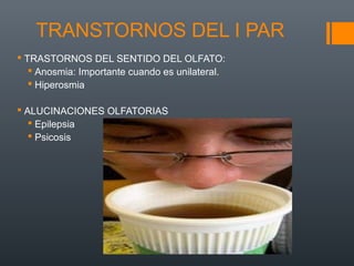 TRANSTORNOS DEL I PAR
 TRASTORNOS DEL SENTIDO DEL OLFATO:
 Anosmia: Importante cuando es unilateral.
 Hiperosmia
 ALUCINACIONES OLFATORIAS
 Epilepsia
 Psicosis
 