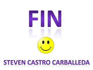 FINSteven castro carballeda
