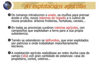 As explotacións agrícolas Os romanos introduciron o  arado , os muíños para prensar aceite e viño, novos  sistemas de regadío  e o cultivo de novos produtos: árbores froiteiras, hortalizas, cereais.. . En todas as provincias xurdiron  colonias agrícolas , con campesiños que explotaban a terra para a súa propia subsistencia . Tamén se estenderon os  latifundios , que eran explotados por patricios e onde traballaban maioritariamente escravos. A explotación agrícola realizábase ao redor dunha casa de campo ( vila ) con gran cantidade de estancias: casa do propietario, cortes, celeiros... 12 