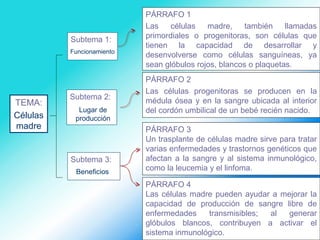 PÁRRAFO 1
Las células madre, también llamadas
primordiales o progenitoras, son células que
tienen la capacidad de desarrollar y
desenvolverse como células sanguíneas, ya
sean glóbulos rojos, blancos o plaquetas.
PÁRRAFO 2
Las células progenitoras se producen en la
médula ósea y en la sangre ubicada al interior
del cordón umbilical de un bebé recién nacido.
PÁRRAFO 3
Un trasplante de células madre sirve para tratar
varias enfermedades y trastornos genéticos que
afectan a la sangre y al sistema inmunológico,
como la leucemia y el linfoma.
TEMA:
Subtema 1:
Subtema 2:
Subtema 3:
PÁRRAFO 4
Las células madre pueden ayudar a mejorar la
capacidad de producción de sangre libre de
enfermedades transmisibles; al generar
glóbulos blancos, contribuyen a activar el
sistema inmunológico.
Funcionamiento
Lugar de
producción
Beneficios
Células
madre
 
