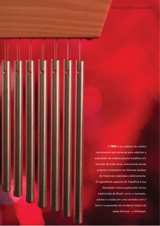 A TEM é um coletivo de música
instrumental que reúne-se para valorizar a
expressão da música popular brasileira em
formato de baile show, executando temas
próprios compostos nas diversas sessões
de improviso realizadas coletivamente.
O ingrediente especial da Trabalhos é sua
liberdade criativa explorando ritmos
tradicionais do Brasil, como o maracatu,
samba e o baião em uma conexão com o
funk e a expressão da moderna música do
oeste africano – o Afrobeat.
TRABALHOS ESPACIAIS MANUAIS
 