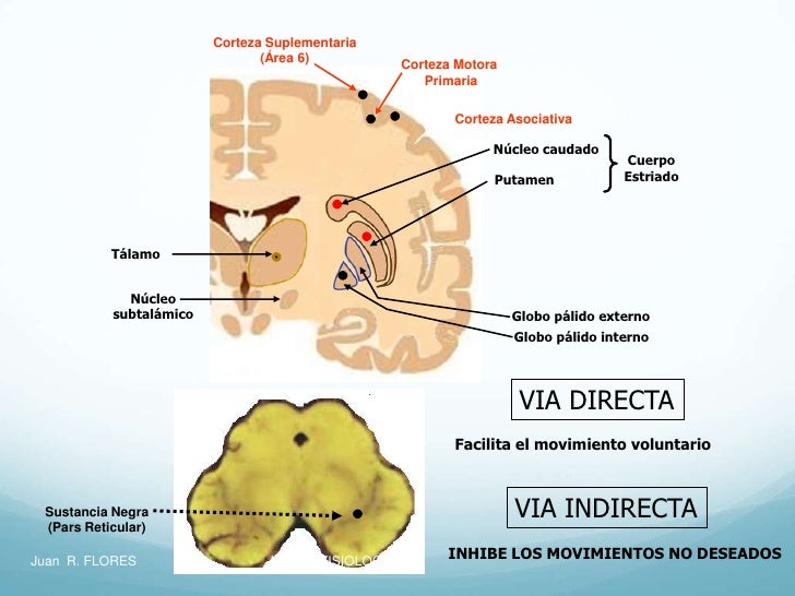 pálido tres vías pálido tres vías