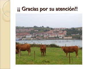 ¡¡ Gracias por su atención!! 