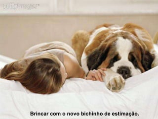 Brincar com o novo bichinho de estimação.
 