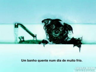 Um banho quente num dia de muito frio.
 