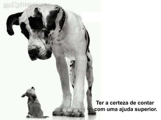 Ter a certeza de contar
com uma ajuda superior.
 