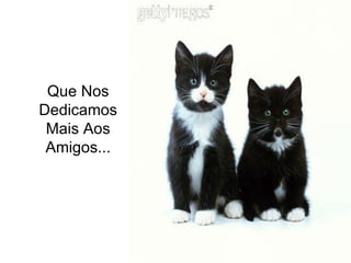 Que Nos Dedicamos Mais Aos Amigos...