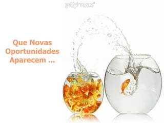 Que Novas Oportunidades Aparecem ...