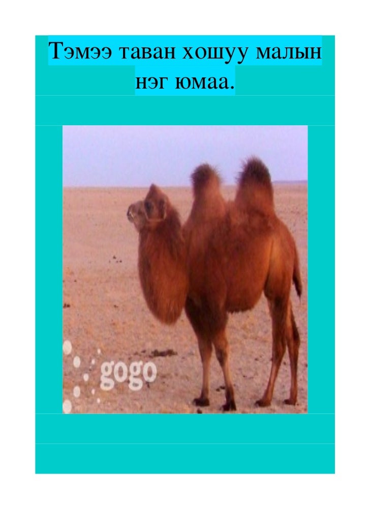 Temee