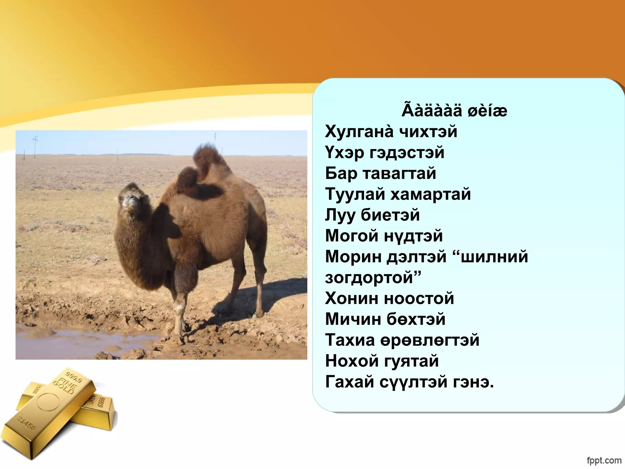Тэмээ | PPT