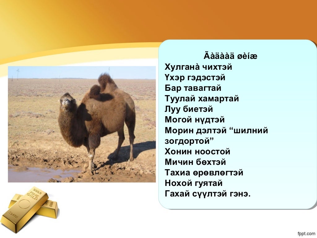 Тэмээ