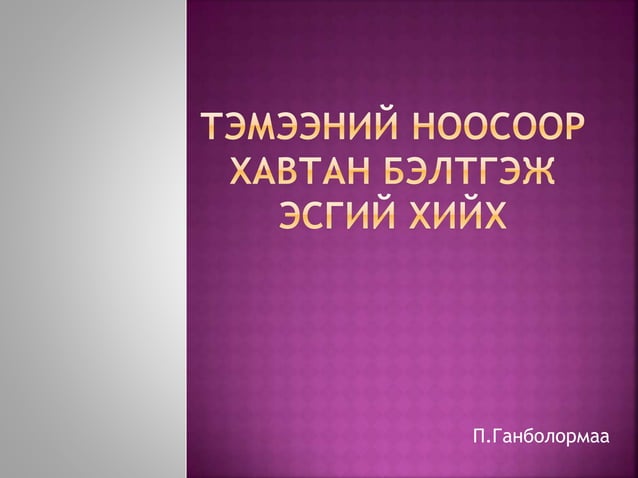 Тэмээний ноосоор хавтан бэлтгэж эсгий хийх | PPT